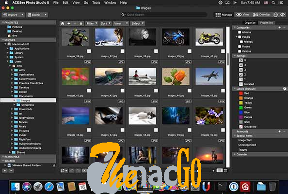 ACDSee Photo Studio 7_1_2 mac dmg version complète themacgo