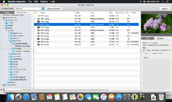 Graphic Inspector 2_5_4 télécharger pour mac themacgo