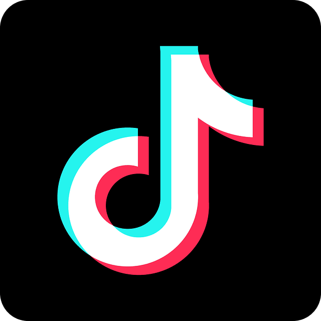 Quand poster sur TikTok pour créer des vidéos virales