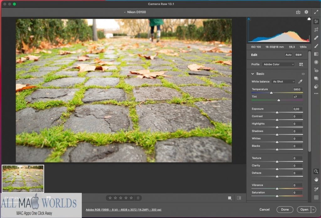 Adobe Camera Raw 13 en téléchargement gratuit