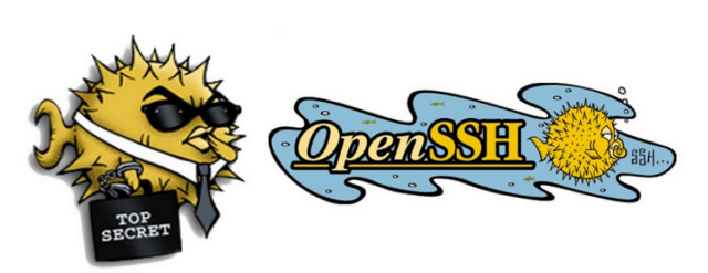 OpenSSH proporciona un amplio conjunto de capacidades de tunelización segura