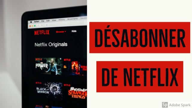 Comment se désabonner de Netflix en 2022 ?
